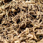 Blue Cohosh Root Cut & Sifted  1 lb.