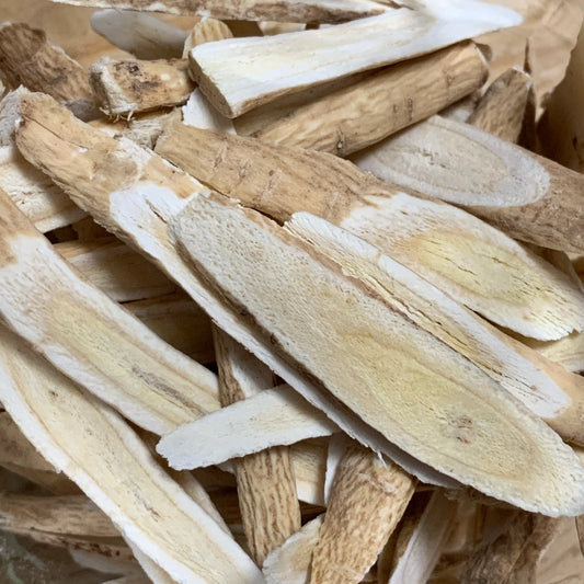 Astragalus Root Powder